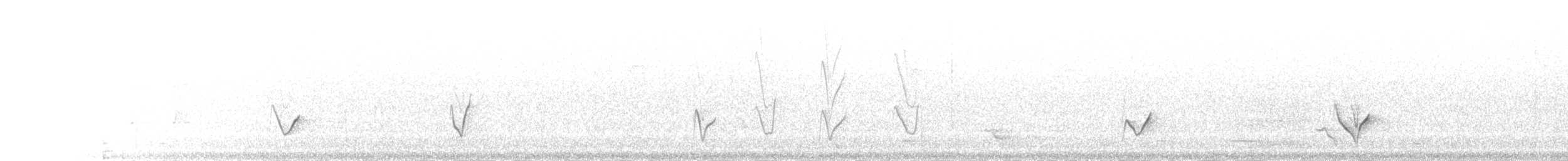 Rufous Whistler - ML237584