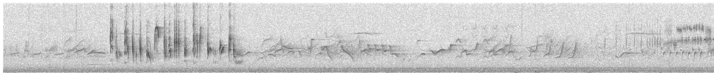 Txinbo papargorrizta iberiarra - ML237619301