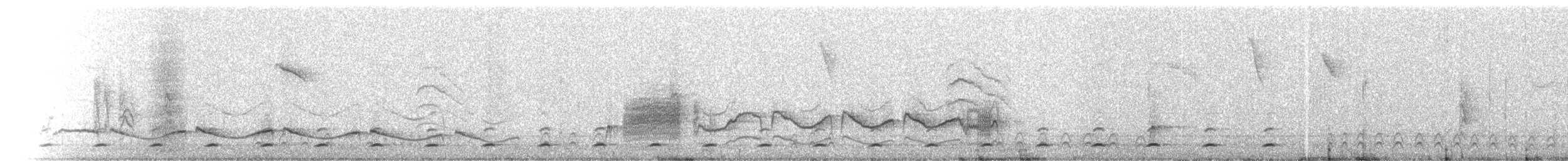 øgleugle (brasilianum gr.) - ML237635