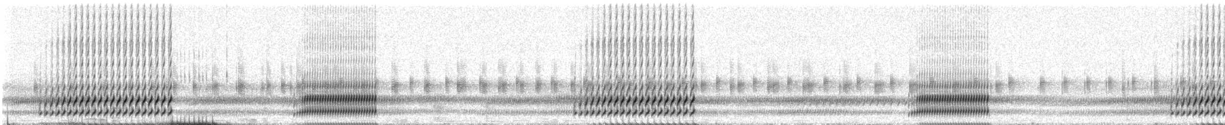 Cope's Gray Treefrog - ML237651