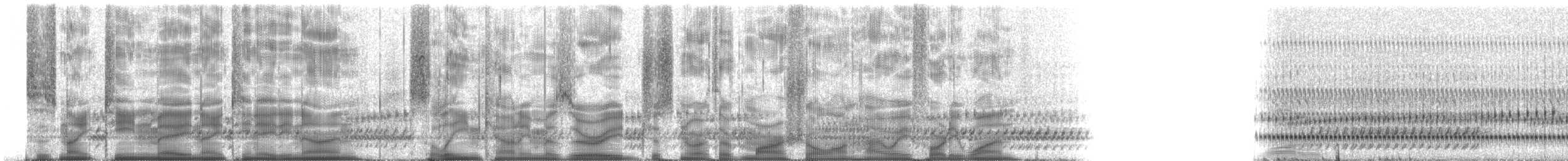 Cope's Gray Treefrog - ML237652