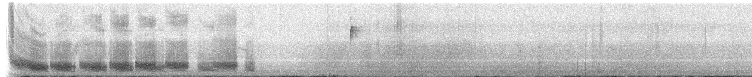 Yucatan Wren - ML237655