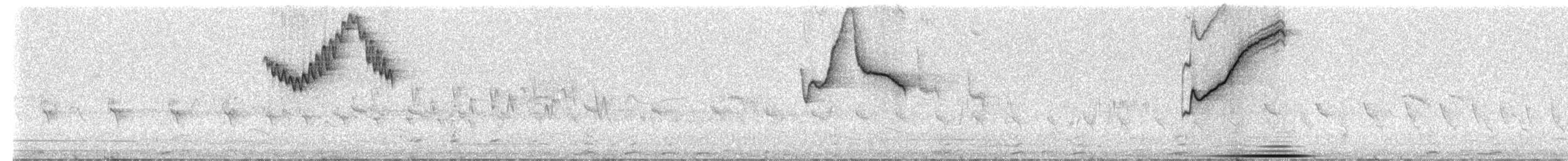 Gray-winged Inca-Finch - ML237659