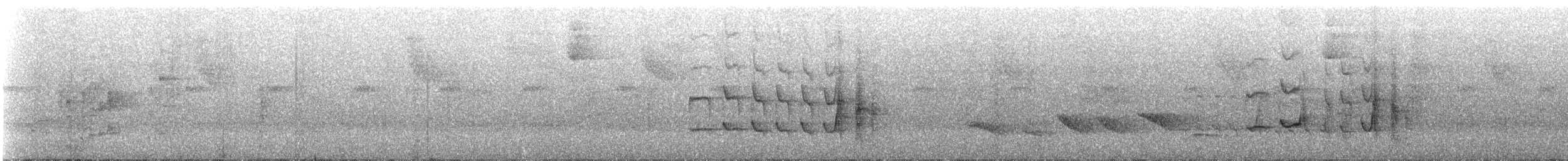 Wied's Tyrant-Manakin - ML237663