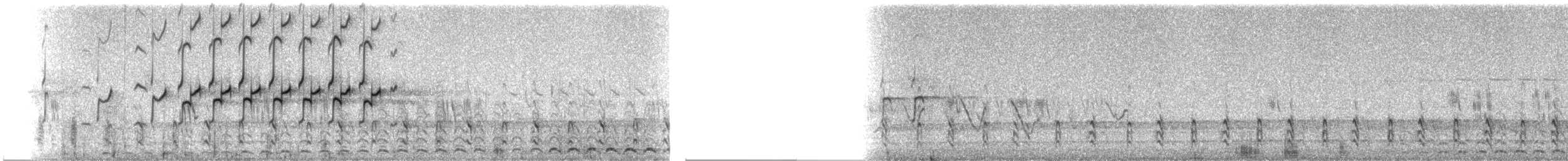 Solitary Sandpiper - ML237666