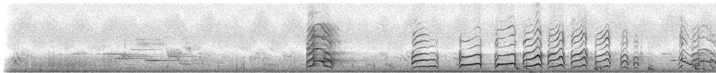 Franklin's Gull - ML237667