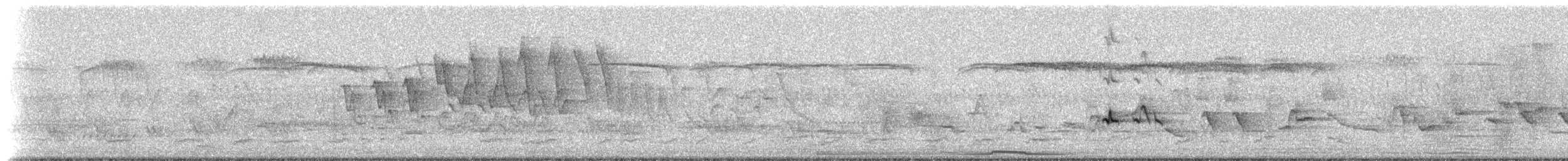 Mourning Dove - ML237668