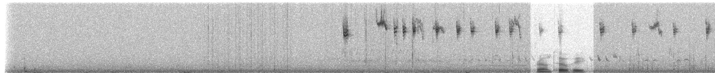 Toquí Californiano - ML237671