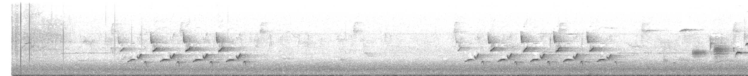 Поплітник каролінський - ML237672031