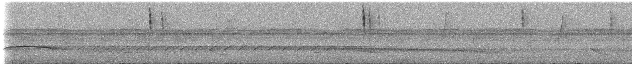 tanager sp. (Thraupidae sp.) - ML237676