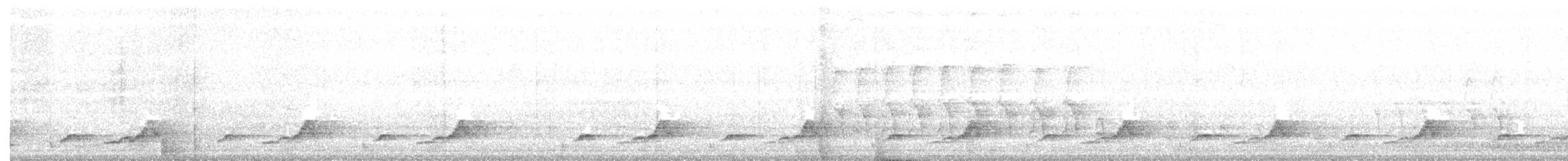 Schwarzkehl-Nachtschwalbe - ML237680051