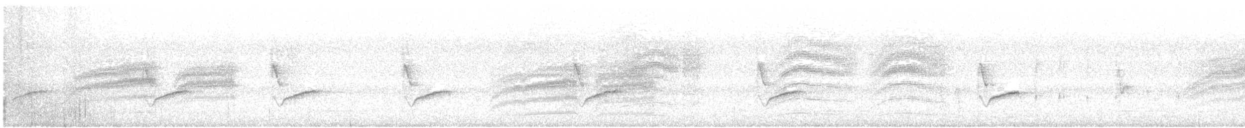 Hutton's Vireo - ML237682281