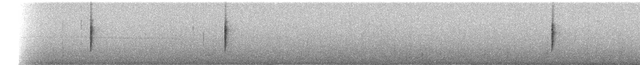 Черногорлая хвойница - ML237686