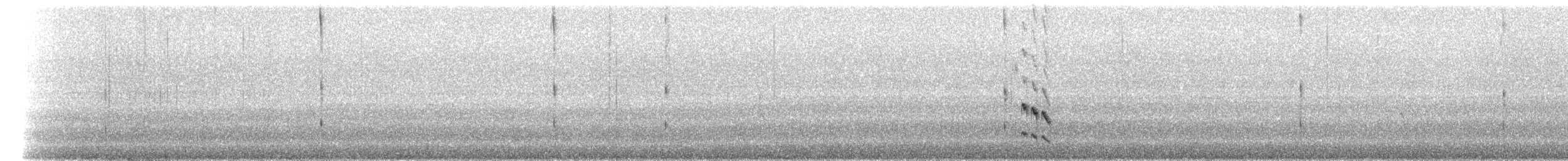 Магелланов тапакуло - ML237688