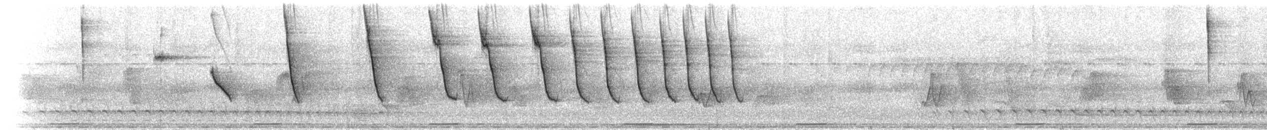 olivenspurv (superciliosus gr.) - ML237691