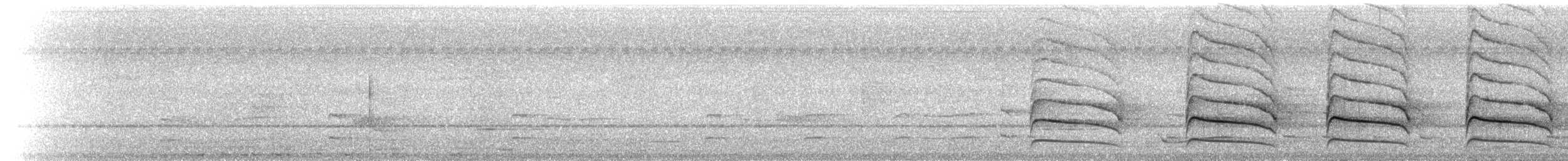鷹科(中、小型) - ML237692