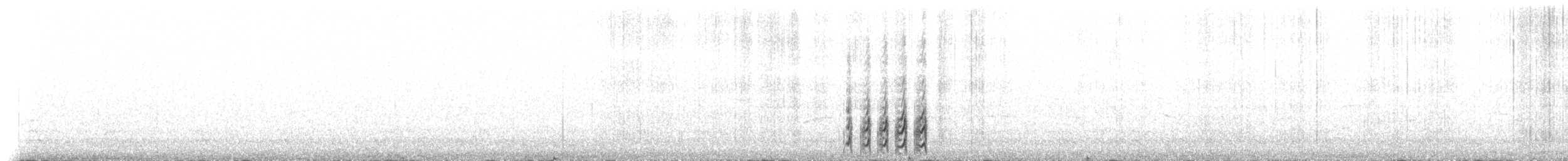 Beringstrandläufer (ptilocnemis) - ML237695
