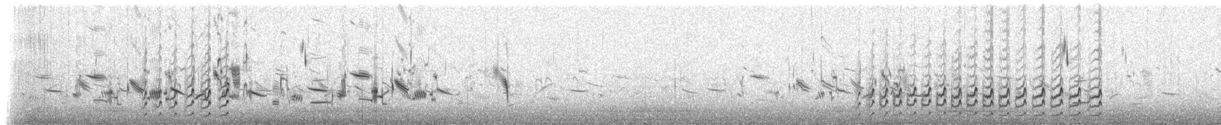 Beringstrandläufer (ptilocnemis) - ML237706