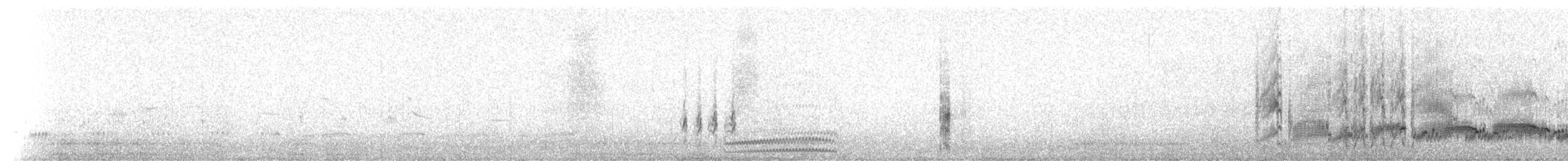 Bécasseau des Aléoutiennes (ptilocnemis) - ML237719
