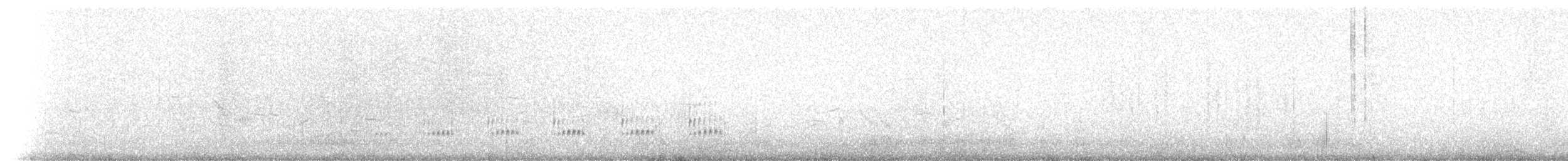 Bécasseau des Aléoutiennes (ptilocnemis) - ML237720