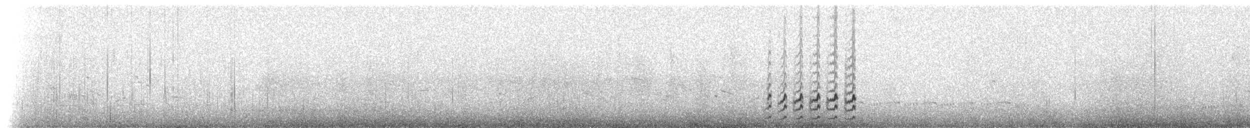 Beringstrandläufer (ptilocnemis) - ML237721