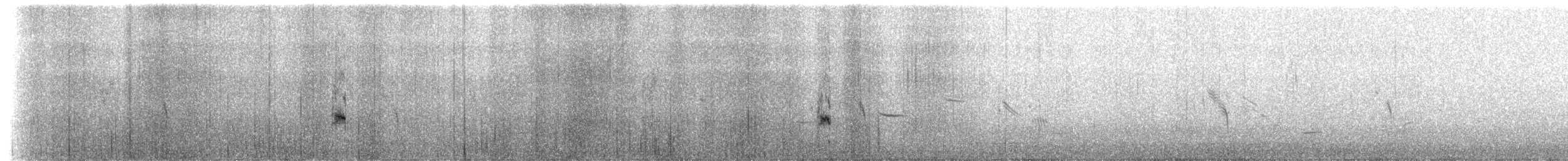 Beringstrandläufer (ptilocnemis) - ML237723
