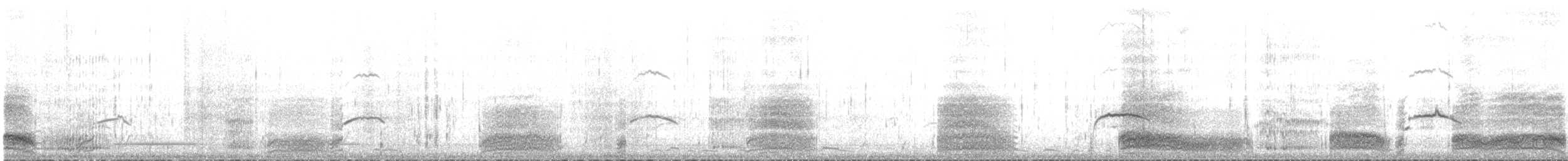 紐澳紅嘴鷗 - ML237778891