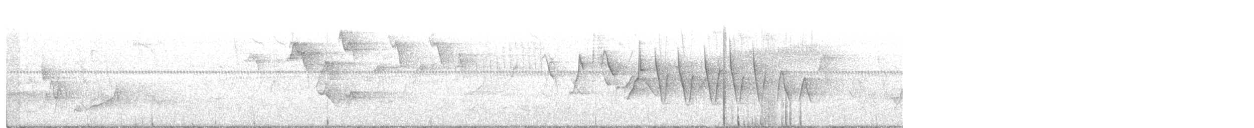 Northern Waterthrush - ML237792931