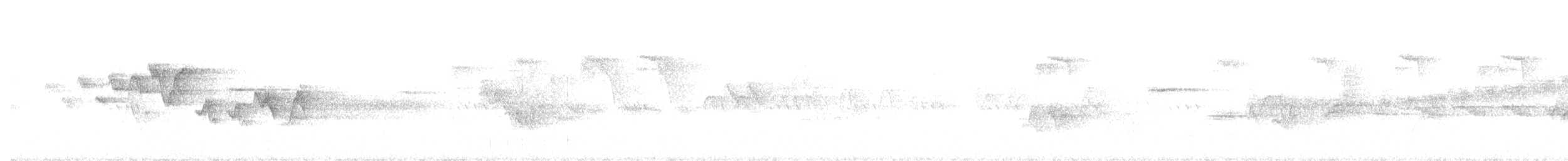 シロオビアメリカムシクイ - ML237802881