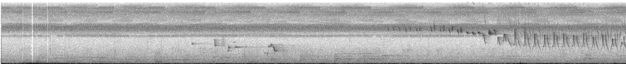 カタジロオーストラリアムシクイ - ML237812371