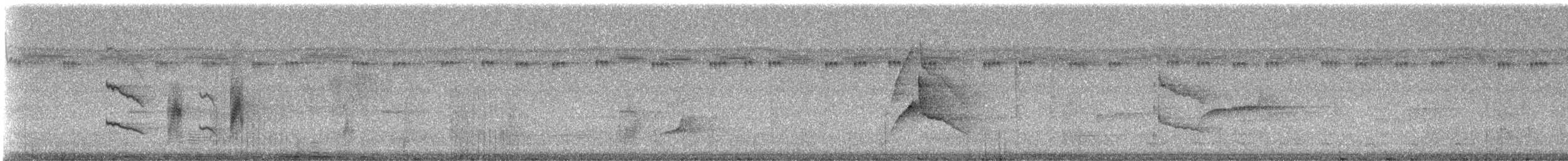 Sarı Telekli Yassıgaga (obscuriceps) - ML237866