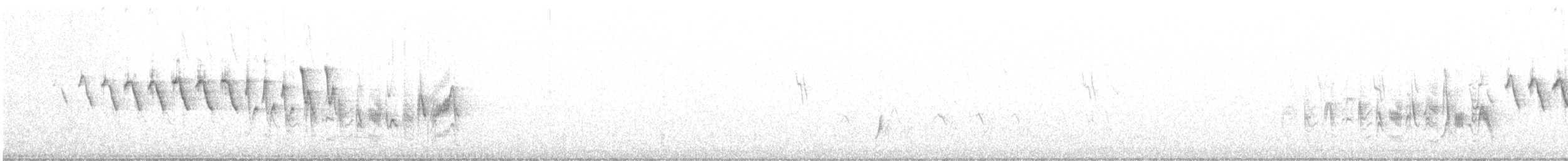 Lucy's Warbler - ML237908801