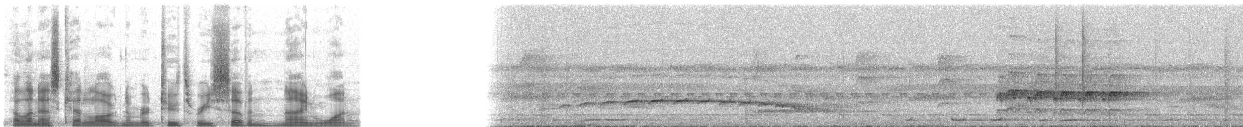 Fleckenbrust-Ameisenvogel - ML23791
