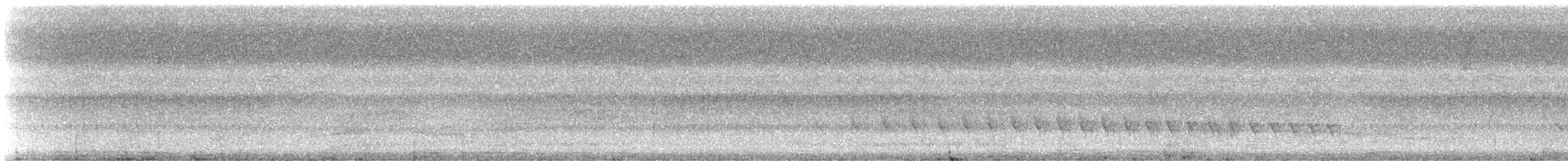 コバシヒメアリサザイ（obscura） - ML237937