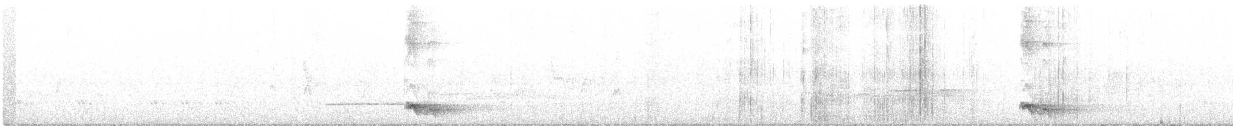 Black-necklaced Scimitar-Babbler - ML237941571