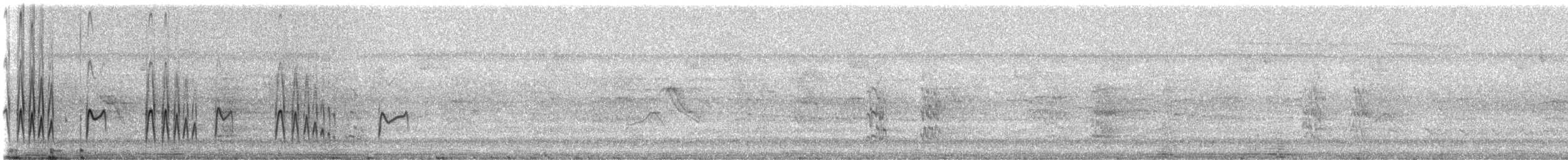 Lesser Wagtail-Tyrant - ML237945