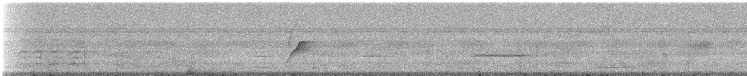 blåkronemanakin (coronata gr.) - ML237984