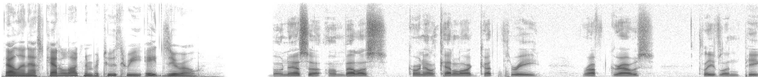 Ruffed Grouse - ML2380
