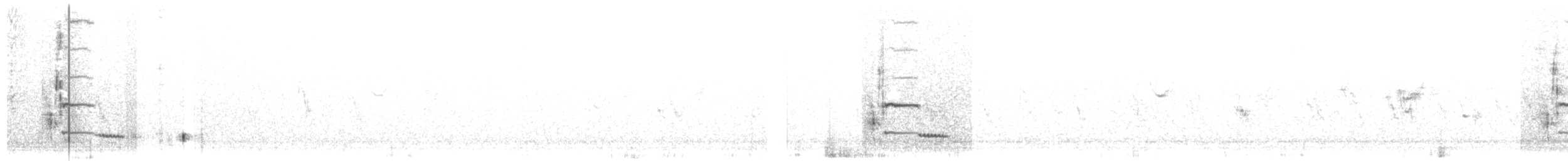 ťuhýk šedý [skupina elegans] - ML238087701