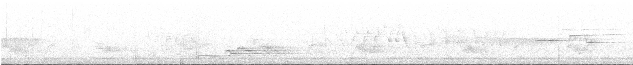 Дрізд-короткодзьоб плямистоволий - ML238112541