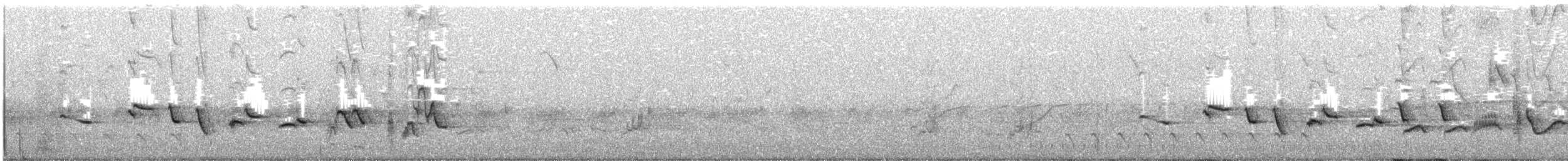 Oriole des vergers - ML238128811