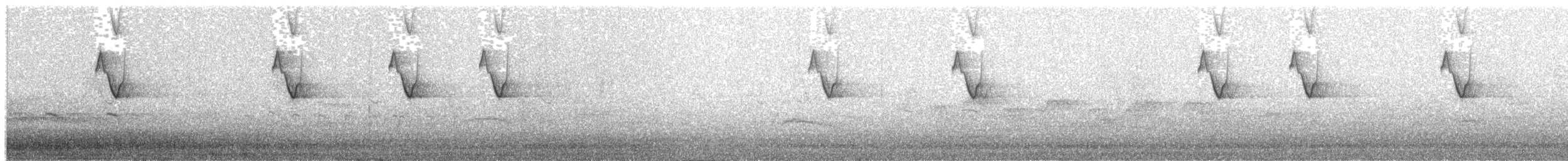 Colibri hirondelle - ML238162101