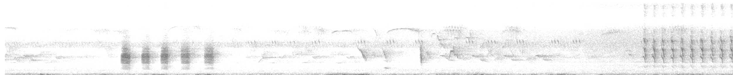 オオアメリカムシクイ - ML238181941