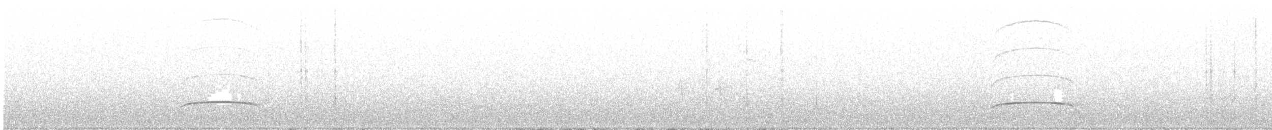 Boz Başlı Sinekkapan (olivascens) - ML238216451