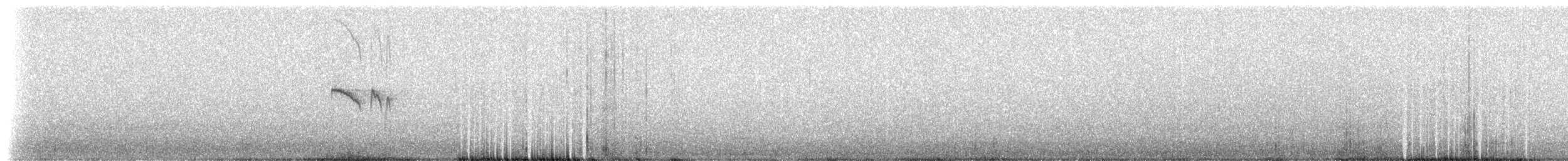 Tumbesschnäppertyrann - ML238249