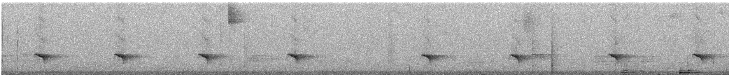 Тиран-малюк північний - ML238253541