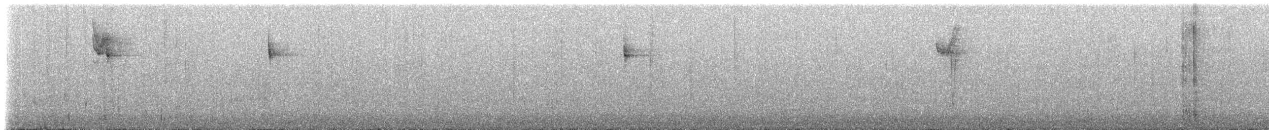 hvithodekjerrspurv - ML238258