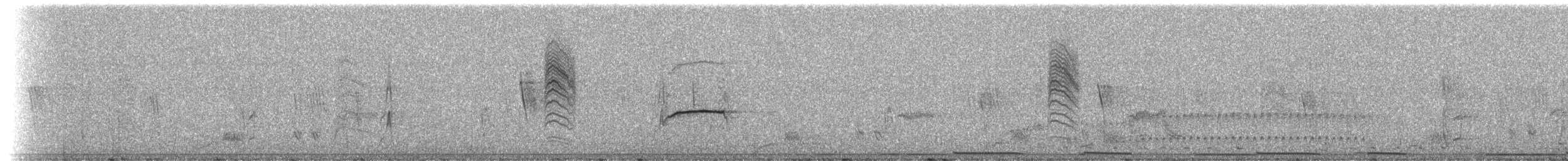 Güneyli Bıyıksız Tiranulet [obsoletum grubu] - ML238294