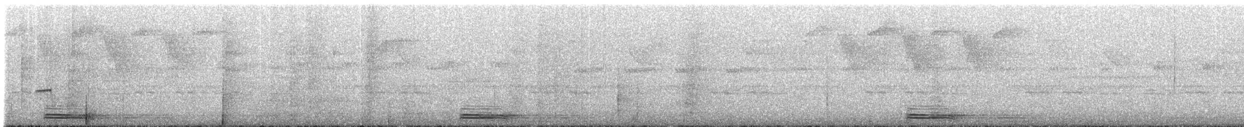 Broad-billed Motmot (Plain-tailed) - ML238305