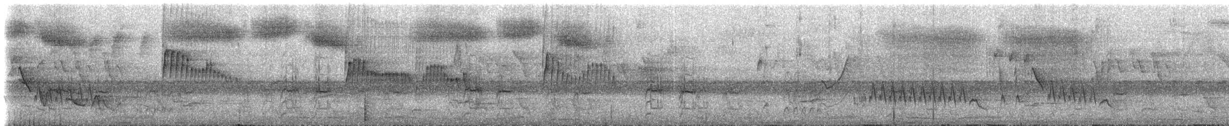 Spot-winged Parrotlet - ML238323